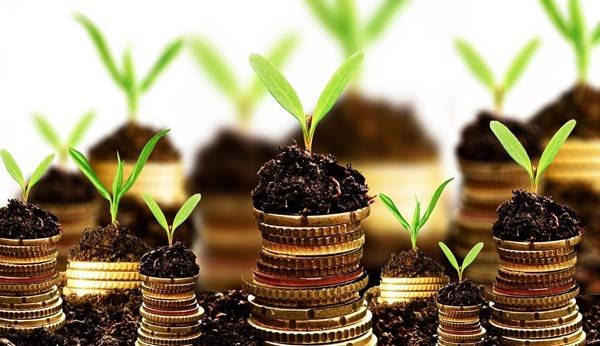 زمینه سرمایه گذاری بخش خصوصی در سمنان فراهم است