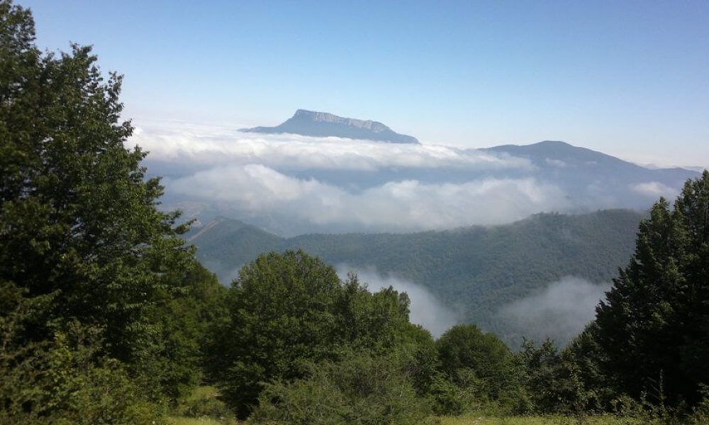 جنگل ابر به منطقه حفاظت‌شده تبدیل شد