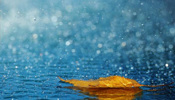 بارش‌ها در سمنان هفت درصد در سال آبی جاری افزایش یافت