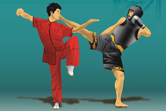 سمنان قهرمان رقابت های ووشوی مردان ایران