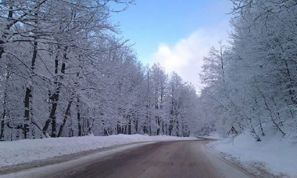 تازه زمستان دارد می‌آید!