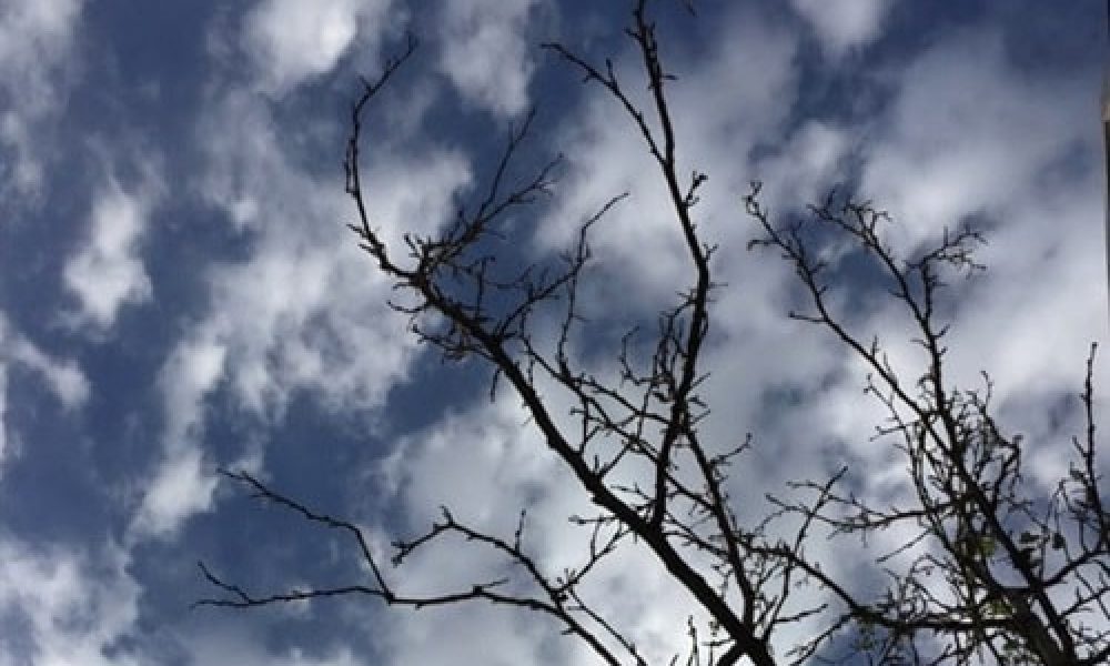 کاهش دما و هوای ابری در سمنان ادامه می یابد