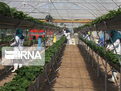 ۸۲۲۵ نفر در استان سمنان با وجود بحران کرونا آموزش مهارتی فراگرفتند