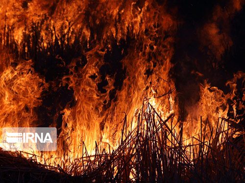 سوختن ۱۰۳ هکتار از عرصه منابع طبیعی استان سمنان