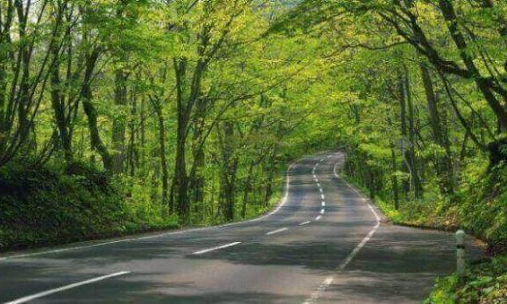 تلفات حوادث رانندگی در سمنان ۱۵ درصد کاهش یافت