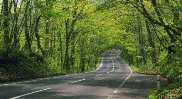 تلفات حوادث رانندگی در سمنان ۱۵ درصد کاهش یافت