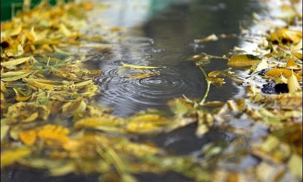 هواشناسی بارش های پراکنده برای سمنان پیش بینی کرد