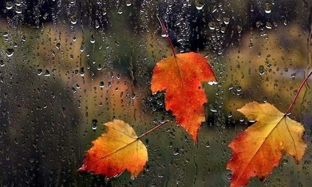 آغاز بارندگی ها در استان سمنان