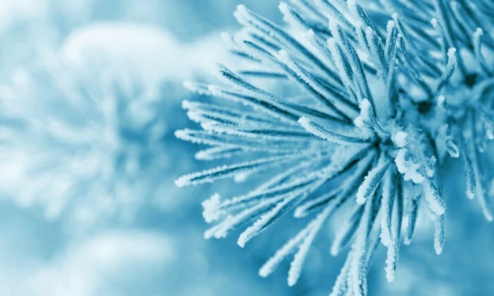 تند باد استان سمنان را در نوردید/ هوا سردتر می شود