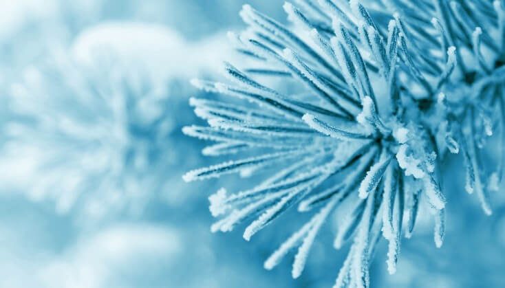 تند باد استان سمنان را در نوردید/ هوا سردتر می شود