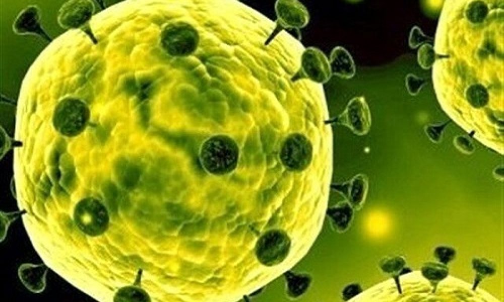 هیچ موردی از بیماری کرونا در سمنان گزارش نشد