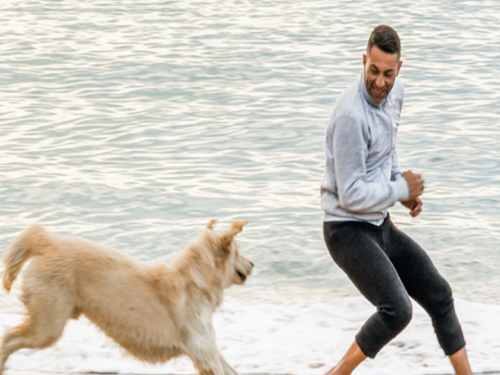 نکات حیاتی برای دویدن با سگ ها