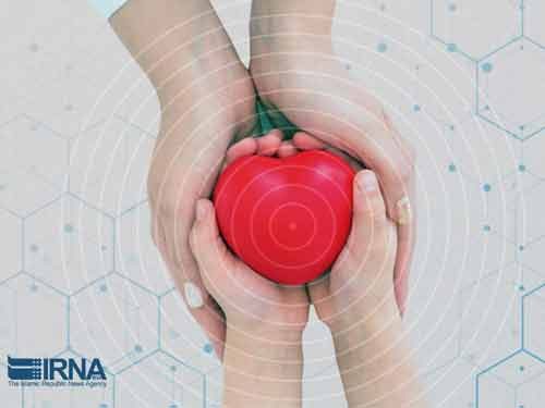 استان سمنان رتبه پنجم کشور در اهدای عضو است