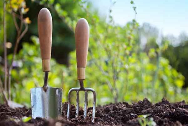 توصیه‌های هواشناسی کشاورزی تا ۱۱ اسفند ماه