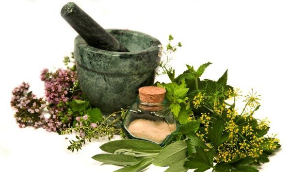 سمنان با شرایط اقلیمی متنوع کلکسیون تولید گیاهان دارویی است