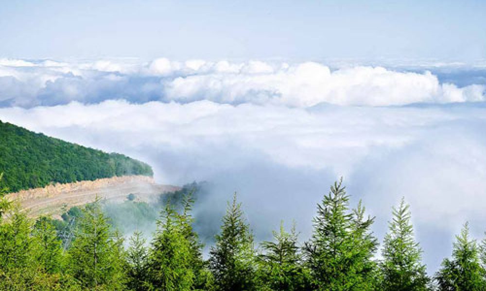 جنگل ابر شاهرود | بهشتی افسانه ای در قلب سمنان