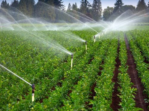 ۱۵ طرح فنی برای ارتقای بهره‌وری آب در سمنان