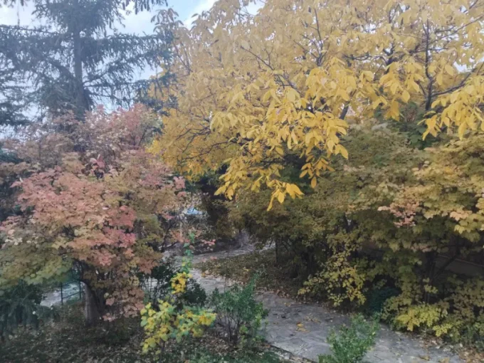 خانه فرهنگیان شهمیرزاد