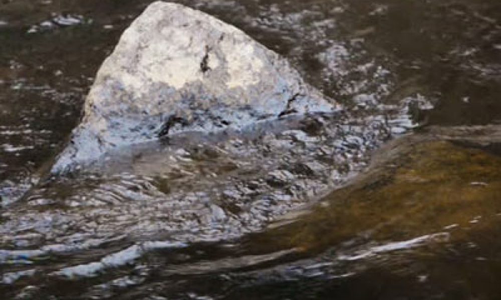 حل مشکل استخر لتیبار سمنان