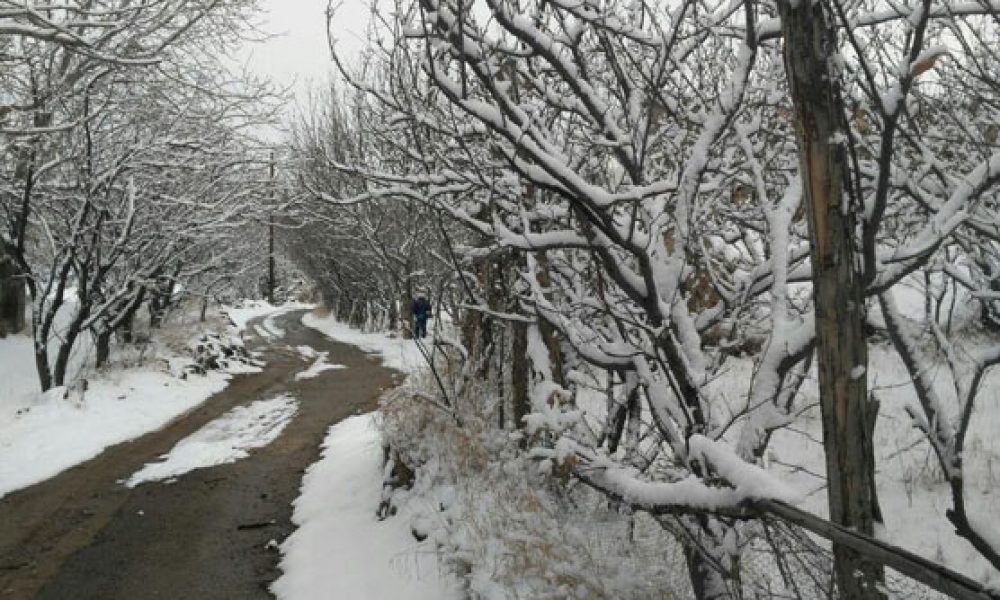 شهمیرزاد۷- زمستان ۹۵