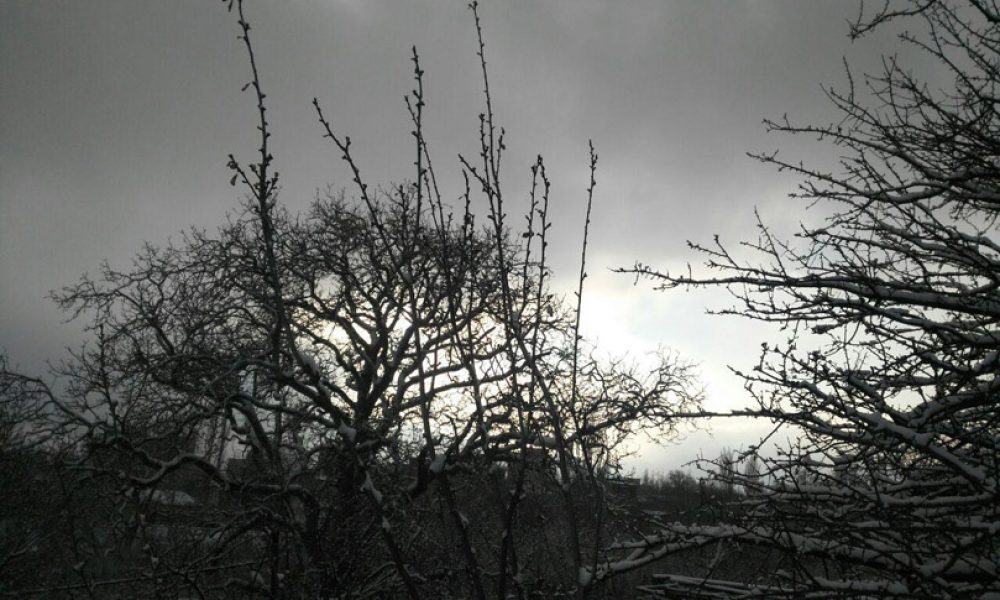 شهمیرزاد۴- زمستان ۹۵