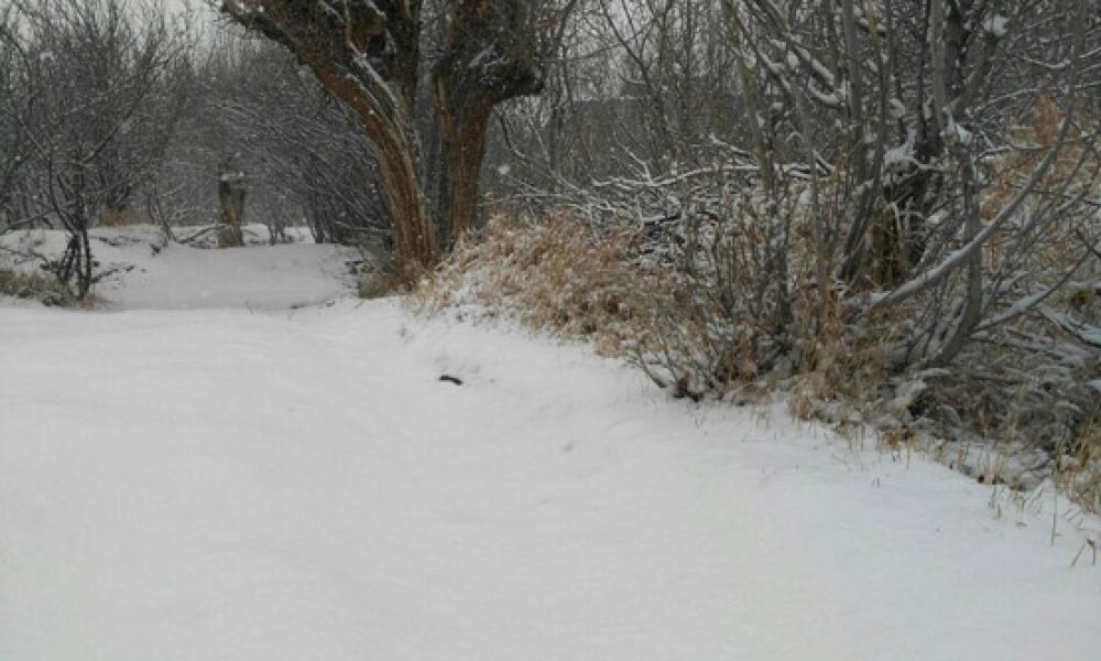 شهمیرزاد۶- زمستان ۹۵