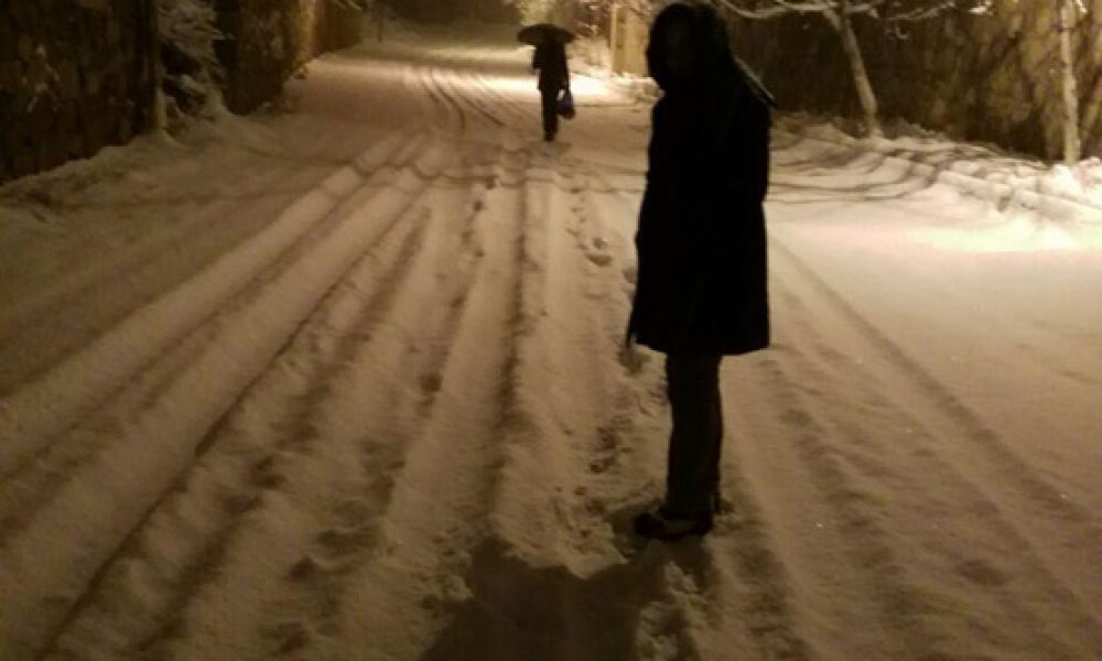 شهمیرزاد زمستان ۹۵