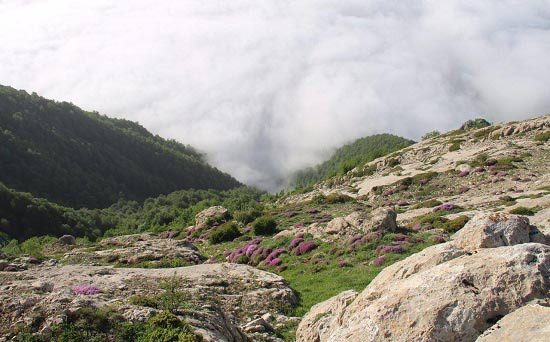 زیبایی های طبیعت در منطقه پرور شهرستان مهدیشهر