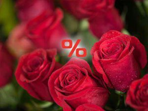 گلسرای قاصدک