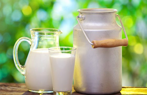 سرانه تولید شیر در سمنان دو برابر میانگین کشور است