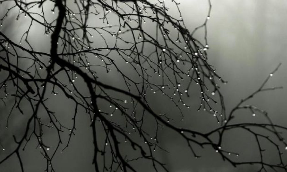 تشدید بارش ها از بعد از ظهر امروز