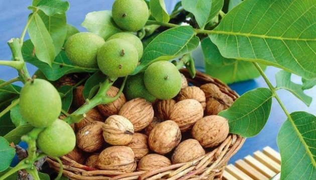 سوغاتی‌های استان سمنان چیست؟