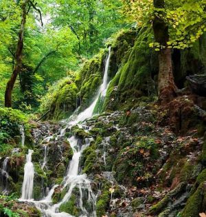 تور جنگل راش و آبشار اوبن