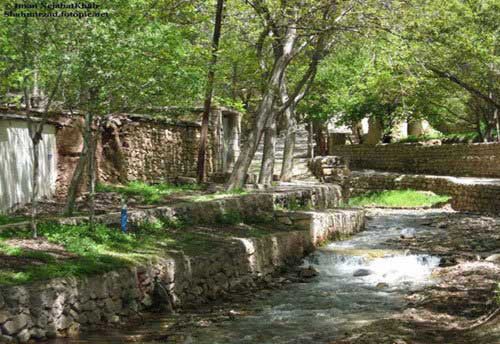 کمک طبیعت دوستان برای پاکی محیط زیست شهمیرزاد