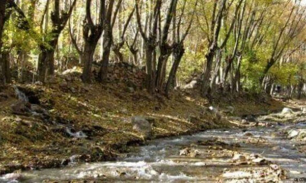 آشنایی با هفت چشمه و سرچشمه شهمیرزاد + تصاویر