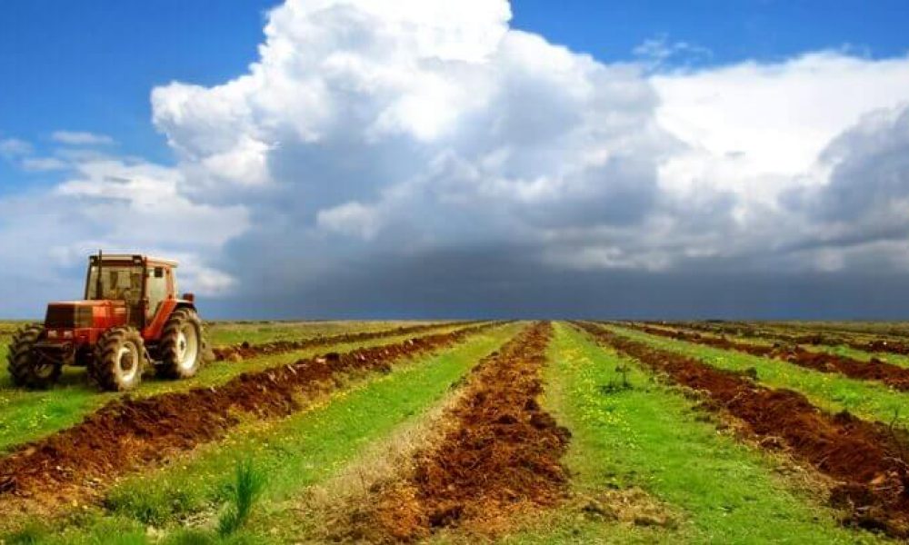توصیه‌های ۶ روزه سازمان هواشناسی برای دامداران، کشاورزان و باغداران