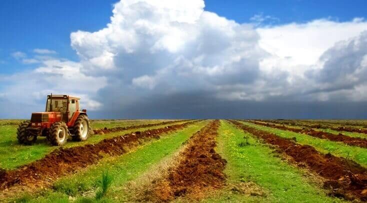 توصیه‌های ۶ روزه سازمان هواشناسی برای دامداران، کشاورزان و باغداران