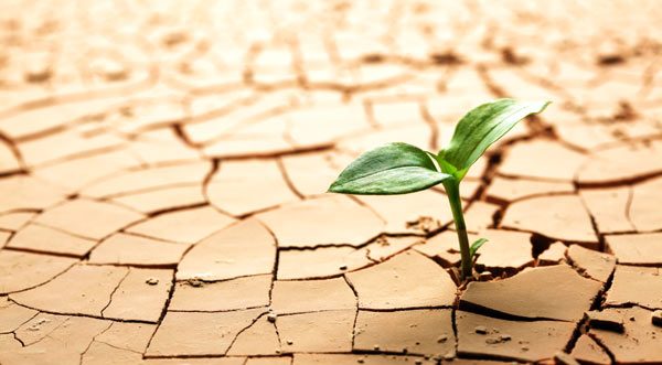 خشکسالی،استان سمنان را در درازمدت به کانون گرد وغبار و ریزگرد تبدیل می کند