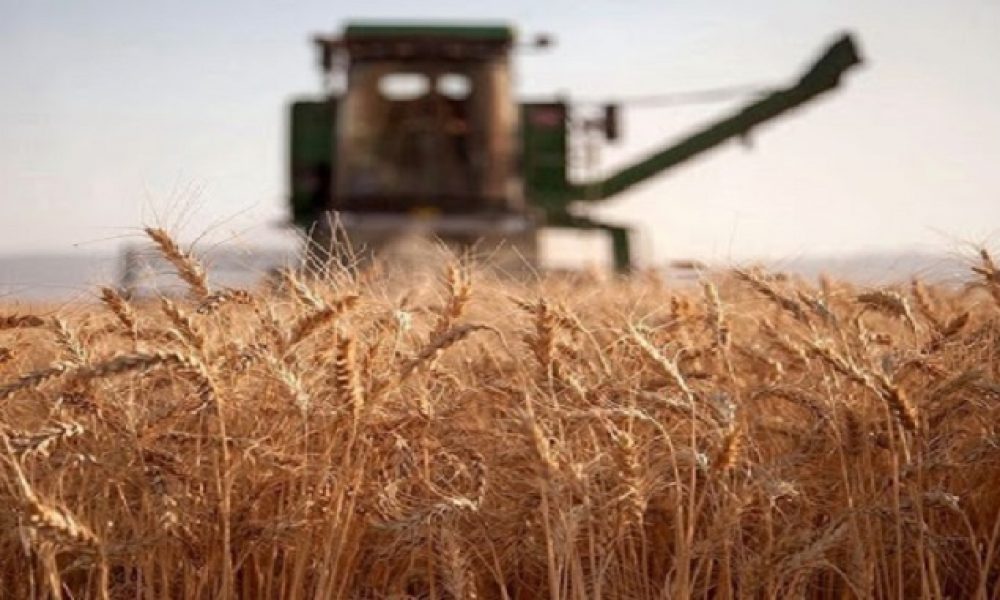 بزرگترین سیلوی شرق کشور در استان سمنان افتتاح می‌شود