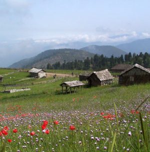 تور سوباتان
