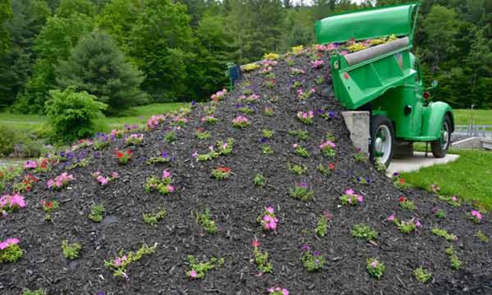 ایجاد نظم خاص در فضای سبز شهری سمنان/گزارش عملکرد