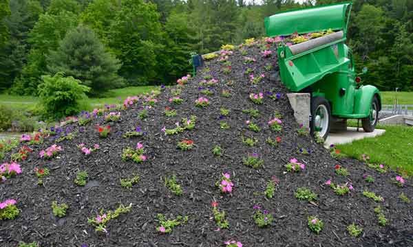 ایجاد نظم خاص در فضای سبز شهری سمنان/گزارش عملکرد