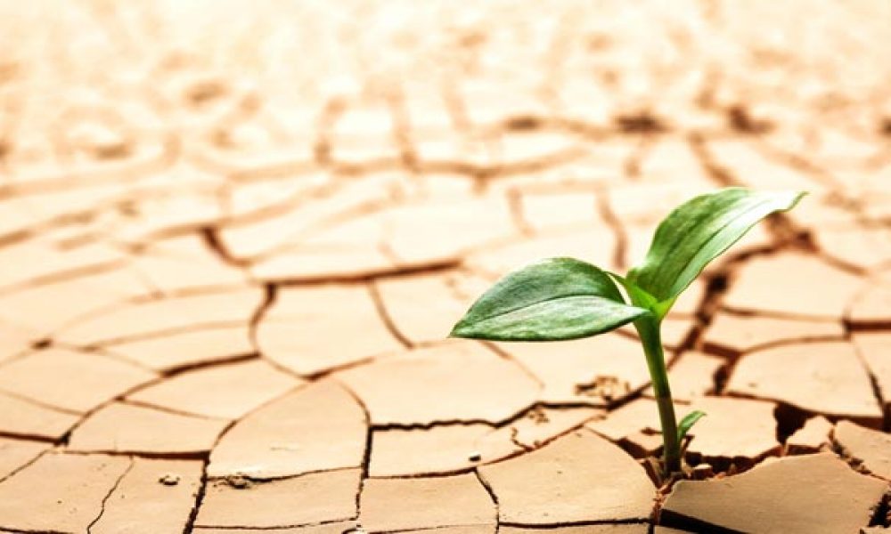 خشک سالی؛ راست یا دروغ