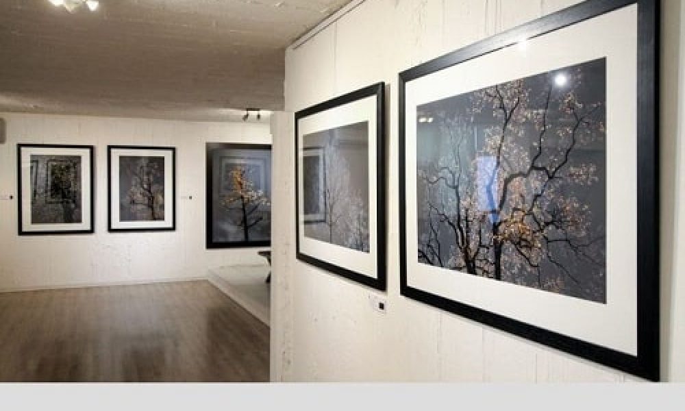 آثار ۲ عکاس سمنان در میان عکس‌های برتر سال ایران قرار گرفت