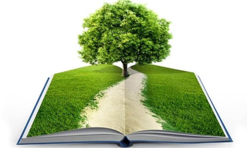 اجرای ۶طرح به منظور اعمال مدیریت سبز در دانشگاه سمنان