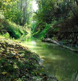 تور دریاچه و جنگل الیمالات