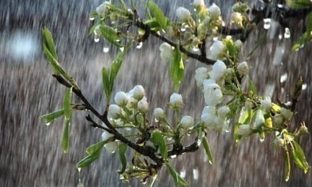 هواشناسی نسبت به رگباری بودن بارش ها هشدار داد