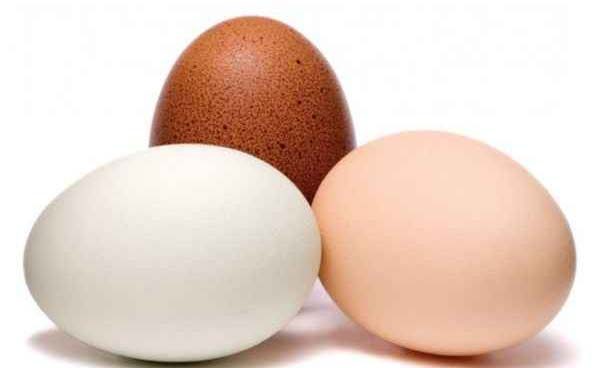 بهره مندی کشور از ظرفیت تولید تخم مرغ در استان سمنان