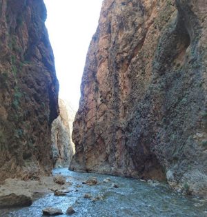 تور تنگه واشی