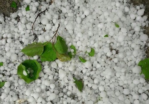 پیش بینی بارندگی و کاهش دما